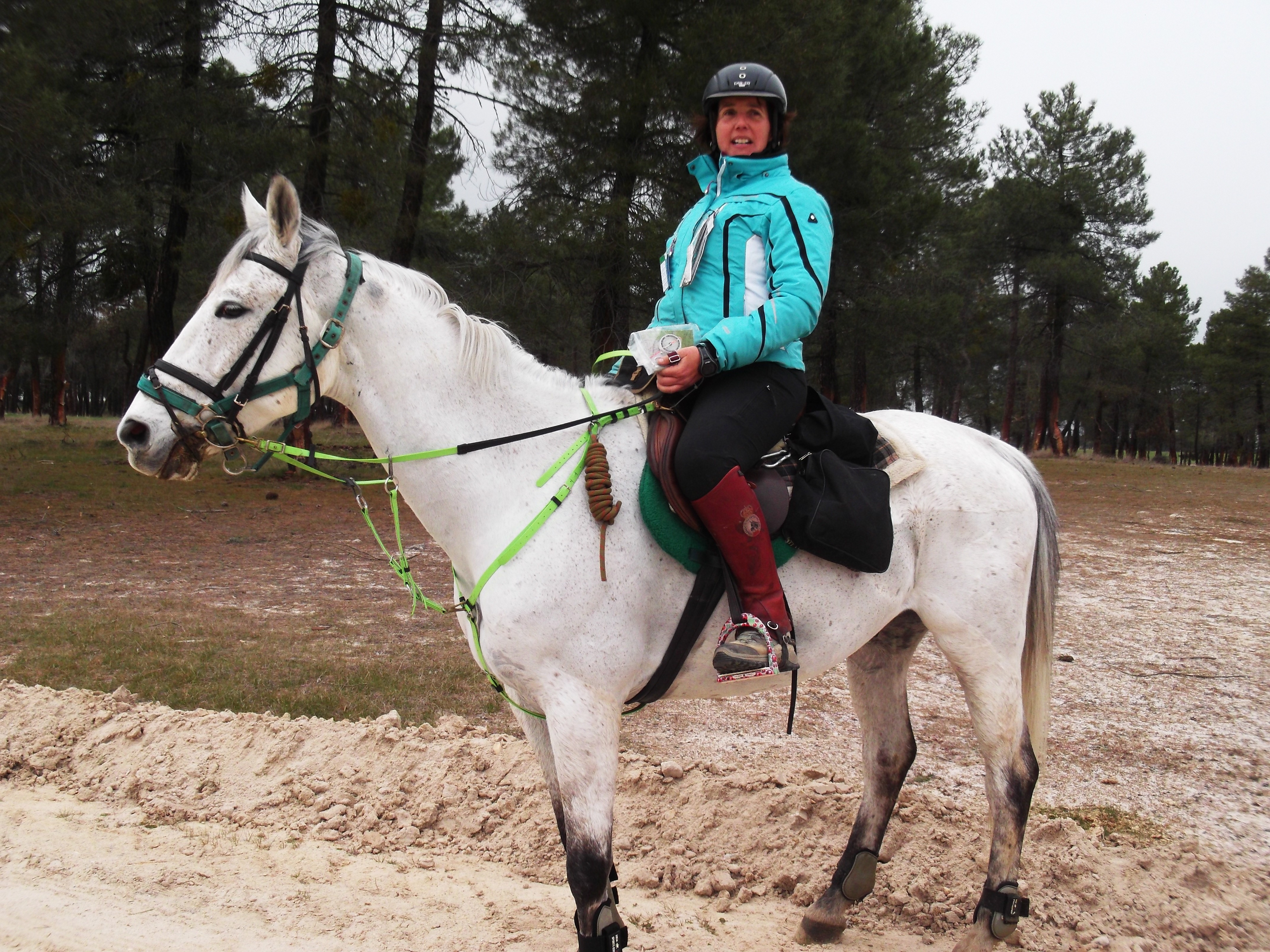 Éxito deportivo de los Navarros en el Concurso Internacional ** Alta Moraña celebrado en Riocabado